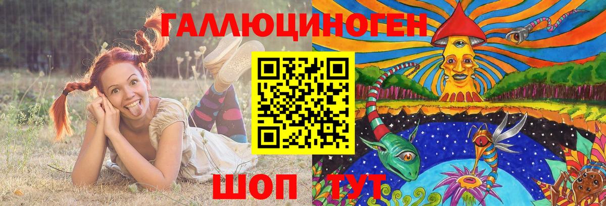 Лабинск  Галлюциногенные грибы Cubensis  Вход с VPN 